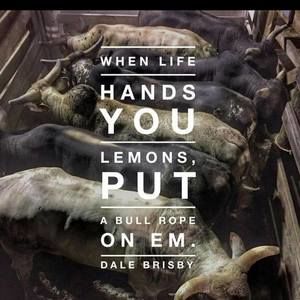 Meet your Posher, Owen